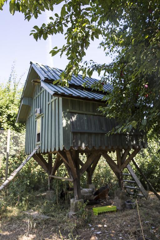 Le Clos Des Abeilles Ruch Экстерьер фото